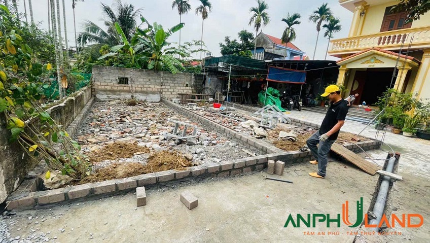 Ra hàng 2 lô F0 tại phường Thuỷ Nguyên (Hoa Động), TP Hải Phòng