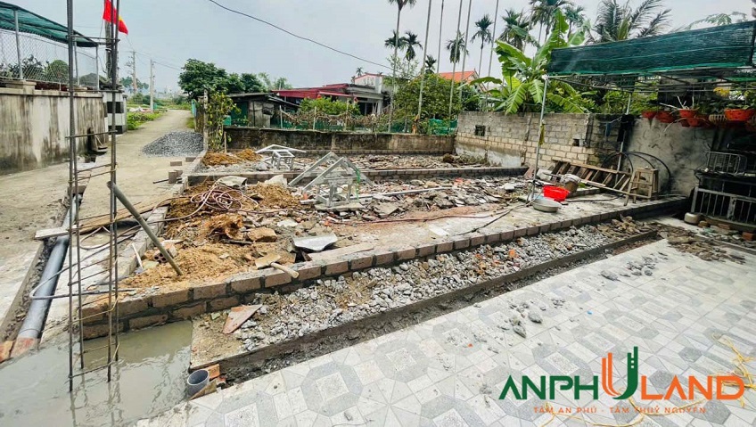 Ra hàng 2 lô F0 tại phường Thuỷ Nguyên (Hoa Động), TP Hải Phòng