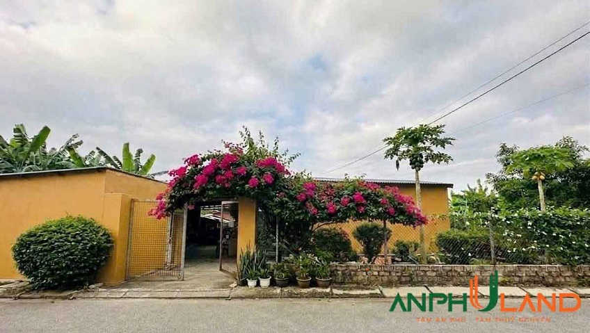 Cần bán lô đất mặt đường trải nhựa tại Phường Hòa Bình, TP Hải Phòng