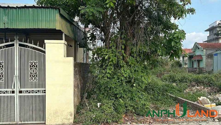 Bán lô đất mặt đường liên thôn trải nhựa TDP Đồng Quán, Phường Thủy Nguyên (xã Hoa Động)