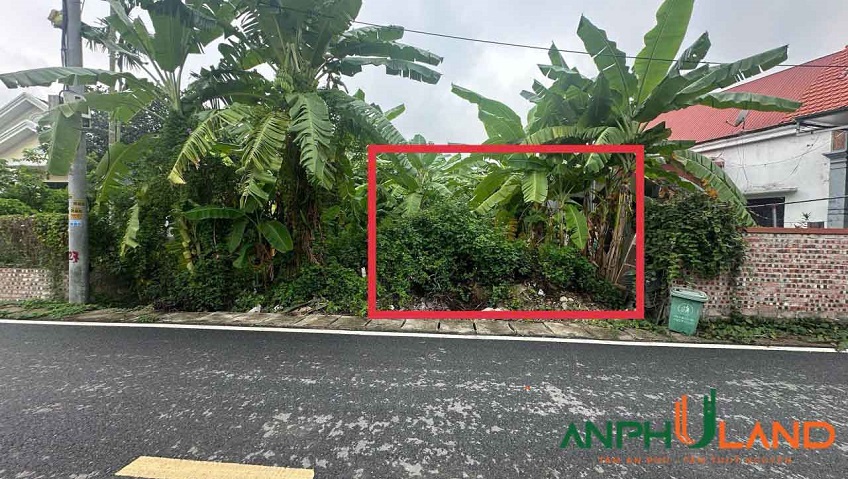 Chính chủ gửi bán lô đất đẹp tại Phường Thiên Hương (xã Lâm Động), TP Hải Phòng