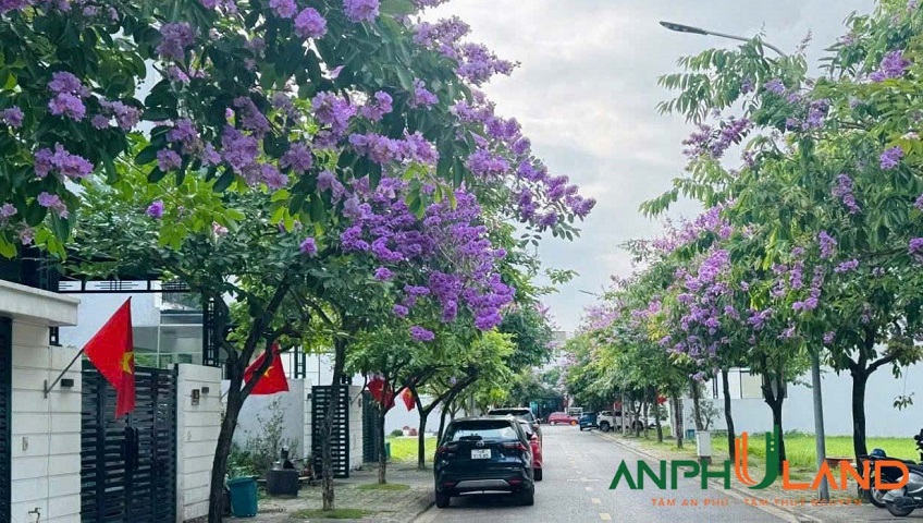 Chính chủ gửi bán lô 35LK10 KĐT Quang Minh, phường Thuỷ Nguyên, TP Hải Phòng