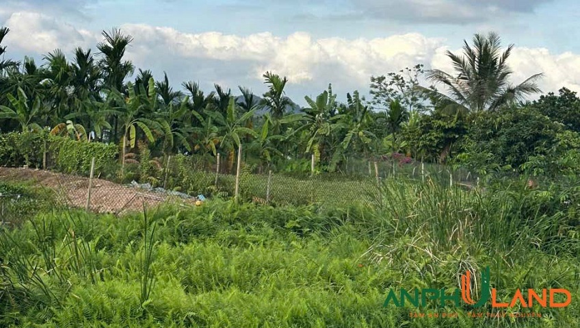 Bán lô đất hơn 2000m² view sông Giá cực đẹp tại phường Lưu Kiếm, TP Hải Phòng