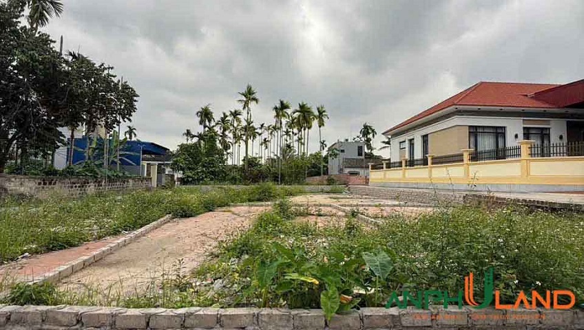 Cần bán đất TDP Áp Tràn, Phường Thủy Nguyên (xã Dương Quan), TP Hải Phòng