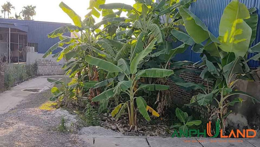 Chính chủ gửi bán lô đất F0 tại mặt đường trục Phường Lê Ích Mộc (xã Cao Nhân), TP Hải Phòng
