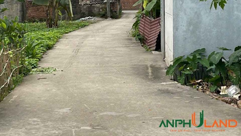 Chủ gửi bán lô đất đẹp tại Phường Thiên Hương (xã Lâm Động), TP Hải Phòng