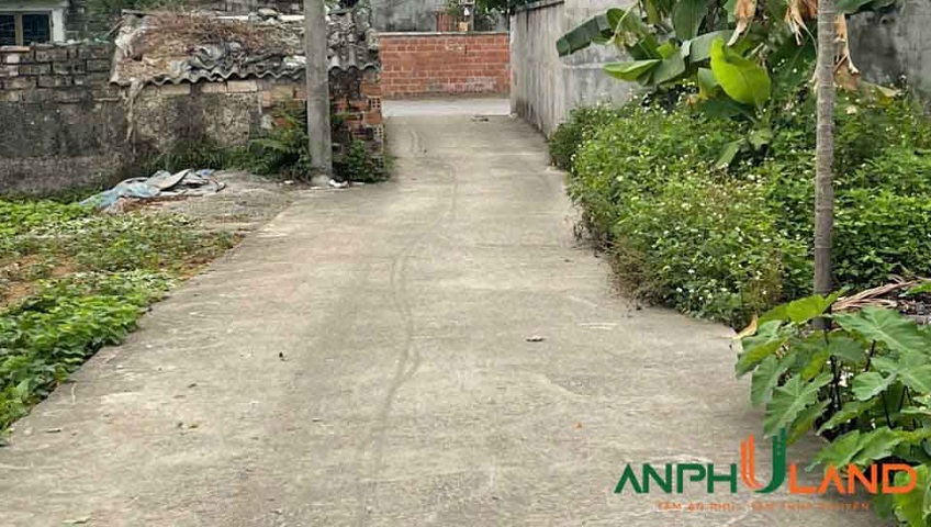 Chủ gửi bán lô đất đẹp tại Phường Thiên Hương (xã Lâm Động), TP Hải Phòng