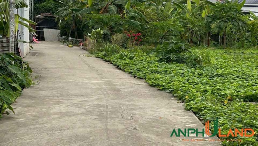 Chủ gửi bán lô đất đẹp tại Phường Thiên Hương (xã Lâm Động), TP Hải Phòng
