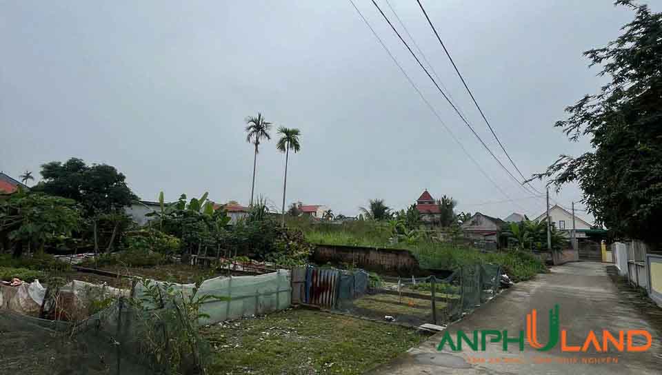 Cần bán lô đất 93 m2 tại Phường Thiên Hương (xã Hoàng Động), TP Hải Phòng
