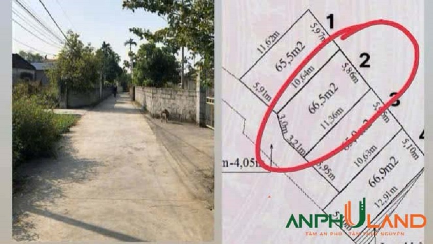 Bán lô đất đẹp giá tốt tại phường Thiên Hương (Lâm Động), TP Hải Phòng