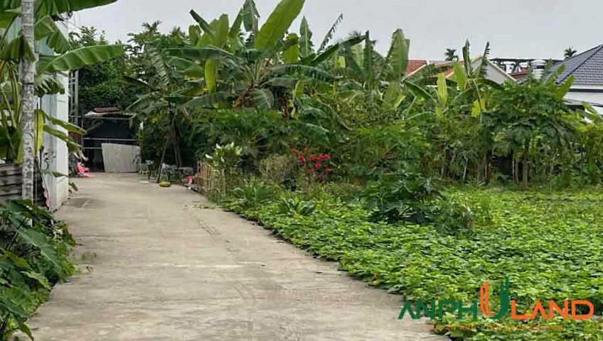 Chủ gửi bán lô đất đẹp tại Phường Thiên Hương (xã Lâm Động), TP Hải Phòng
