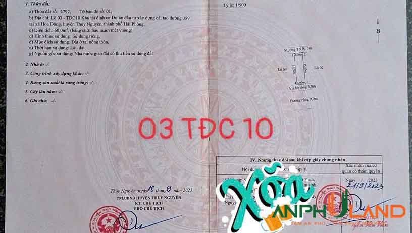 Chuyển nhượng 60m2 TĐC Phường Thủy Nguyên (xã Hoa Động), TP Hải Phòng