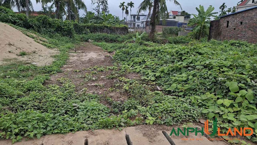 Cơ hội hiếm giá siêu mềm tại Phường Thiên Hương  (xã Lâm Động), TP Hải Phòng