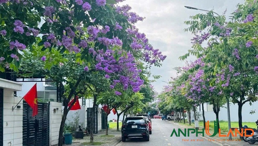  Chính chủ gửi bán lô 15LK05 tại KĐT Quang Minh, phường Thuỷ Nguyên, TP Hải Phòng