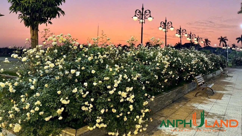  Chính chủ gửi bán lô 15LK05 tại KĐT Quang Minh, phường Thuỷ Nguyên, TP Hải Phòng