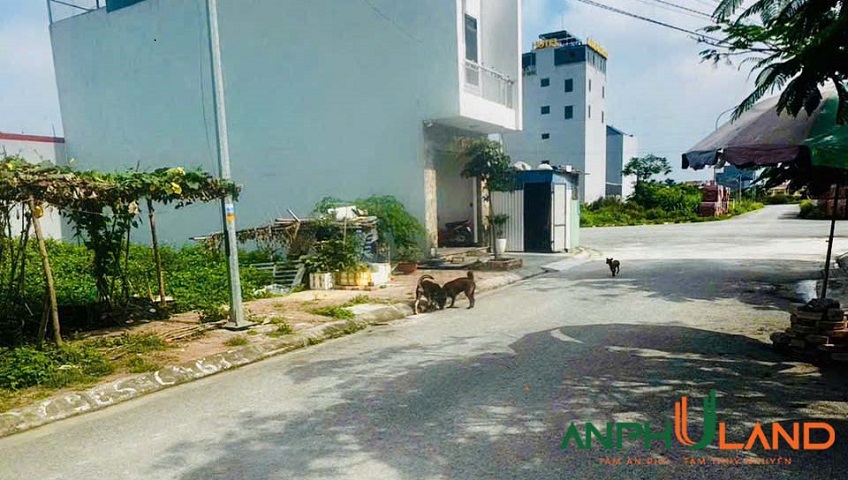 Chính chủ gửi bán lô 50LK01 TĐC Đống Trịnh, phường Thuỷ Nguyên, TP Hải Phòng