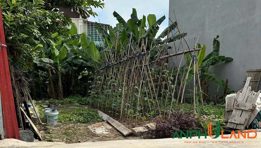 Bán lô đất 52m² tại TDP Thuỷ Sơn 2, phường Thuỷ Nguyên, TP Hải Phòng