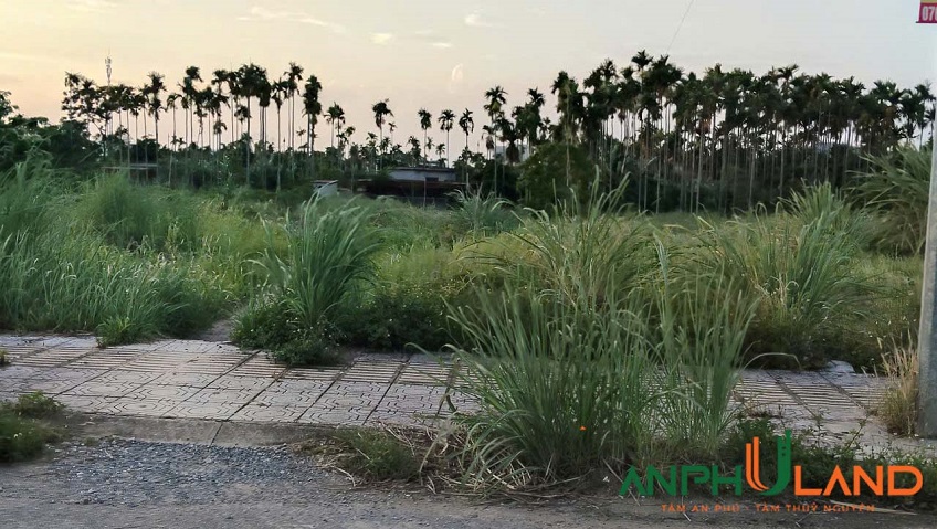 Bán lô đất giá rẻ tại khu TĐC Hoa Động, phường Thuỷ Nguyên, TP Hải Phòng