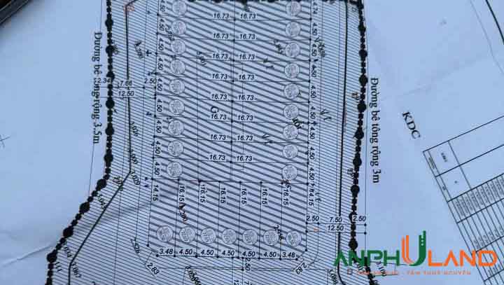 Thông báo đấu giá 29 lô đất tại ngõ 63 Trần Tất Văn, Phù Liễn, Kiến An, Hải Phòng