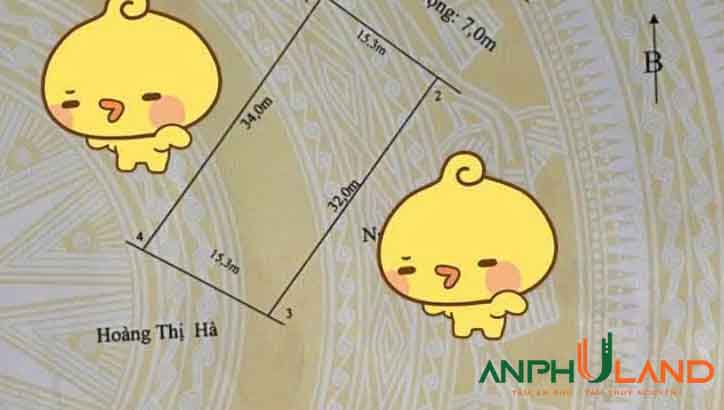 Em gái gửi bán mảnh đất 03 có bìa tại Phường Lê Ích Mộc (xã Hợp Thành), TP Hải Phòng