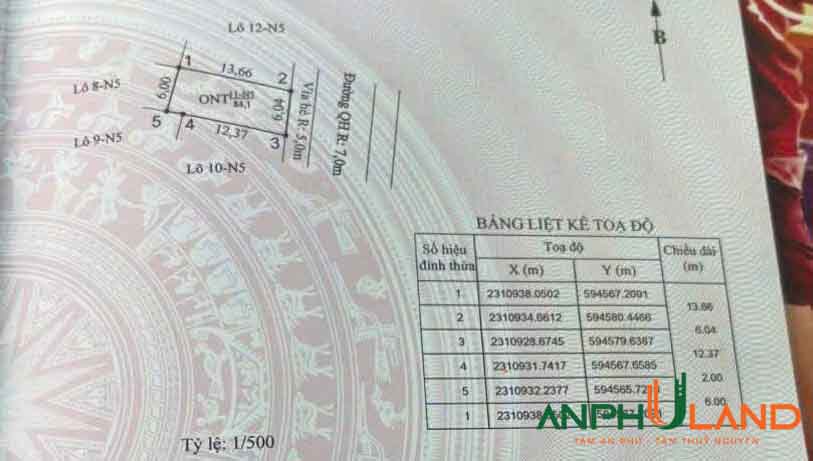 Bán cặp song sinh đấu giá đẹp long lanh tại TDP Bái Trong, phường Thuỷ Nguyên ( xã Hoa Động)