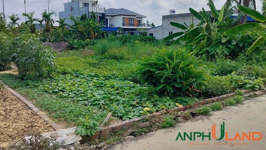 Bán lô góc mặt đường TDP Sú 2, phường Thiên Hương (Lâm Động), TP Hải Phòng