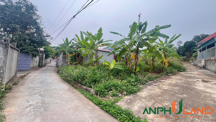 Chính chủ gửi bán lô đất đẹp tại Xóm Kỳ Sơn 2, xã Việt Khê, TP Hải Phòng