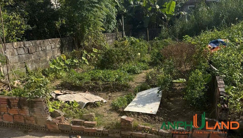 Chính chủ gửi bán lô đất sẵn bìa phường Thiên Hương (Lâm Động), TP Hải Phòng