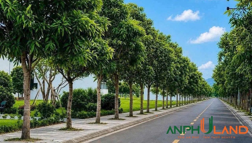 Chính chủ gửi bán lô 15LK05 tại KĐT Quang Minh, phường Thuỷ Nguyên, TP Hải Phòng