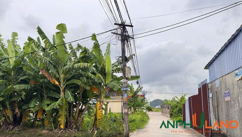 Gia đình cần bán lô đất đường thông ô tô 16 chỗ tại Phường Thiên Hương, TP Hải Phòng