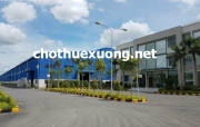 Cho thuê nhà xưởng mới đẹp tại thành phố Hải Dương DT 3505m2 giá tốt
