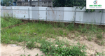 Bán lô đất gần đường vành đai 2 tại Hoa Động, Thuỷ Nguyên, Hải Phòng
