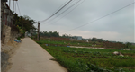 Mở bán lô đất mặt tiền 5 M tại thôn giữa Hoa Động, Thuỷ Nguyên, Hải Phòng