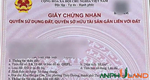 Cần chuyển nhượng lô đất LK11-08 Khu Cửa Trại, phường Thuỷ Đường, TP Thuỷ Nguyên, Hải Phòng