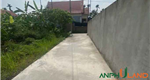 Cần bán lô đất vuông vắn tại TDP Hầu,  phường Hoàng Lâm ( Lâm Động cũ ), TP Thủy Nguyên