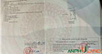 Cần bán lô đất TDP Đường Đá, Phường Hoa Động, TP Thủy Nguyên, Hải Phòng