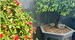 Bán nhà 71m2 x 3 tầng mẫu biệt thự  tại Cách Hạ, Nam Sơn, An Dương, Hải Phòng