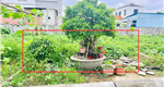 Bán lô đất phường Dương Quan, TP Thuỷ nguyên, Hải Phòng