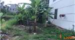 Chính chủ gửi bán lô đất đẹp tại phường Hoàng Lâm, TP Thủy Nguyên, Hải Phòng