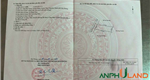 Chính chủ gửi bán lô đất đẹp tại TDP Bái Trong, Phường Hoa Động, TP Thủy Nguyên, Hải Phòng