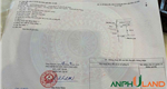 Chào bán lô đất 100m2, trung tâm hành chính mới Phường Dương Quan, TP Thủy Nguyên