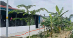 Cần tiền bán gấp lô đất 88.4 m2, thôn 1, xã Quang Trung ( xã Cao Nhân), TP Thủy Nguyên