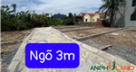 Hàng cực đẹp tại TDP Chùa, Phường Hoa Động, TP Thủy Nguyên
