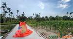 Cơ hội sở hữu lô đất đẹp giá công nhân tại Phường Thiên Hương, TP Thủy Nguyên, Hải Phòng