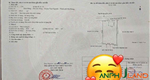 Cần bán lô đất siêu đẹp, Phường Thiên Hương ( xã Lâm Động), TP Hải Phòng