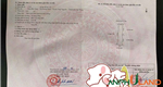 Cần bán đất TDP Bấc Vang, Phường Thủy Nguyên ( xã Dương Quan), TP Hải Phòng