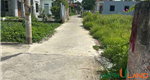 Chính chủ gửi bán 1 lô góc 81m2 đường thông tại Phường Thủy Nguyên ( xã Hoa Động), TP Hải Phòng