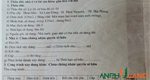Bán nhanh lô đất mặt đường 203 phường Thiên Hương (xã Lâm Động), TP Hải Phòng