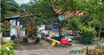 Cần bán lô phân lô đẹp tại TDP Đồng Quán, Phường Thủy Nguyên ( xã Thủy Sơn), TP Hải Phòng
