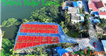 Sáng thứ 7 mở bán 13 lô đất tại phường Nam Triệu ( xã Lập Lễ), TP Hải Phòng